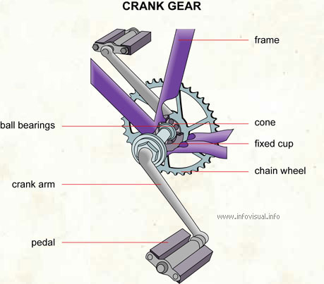 Crank gear